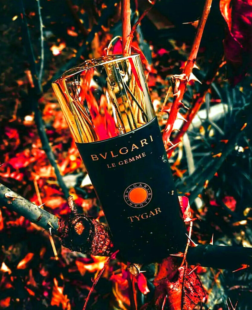 عطر بولگاری تایگار (Bvlgari Tygar)