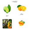 عطر شنل کوکو (Chanel Coco)