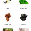 عطر شنل کوکو (Chanel Coco)