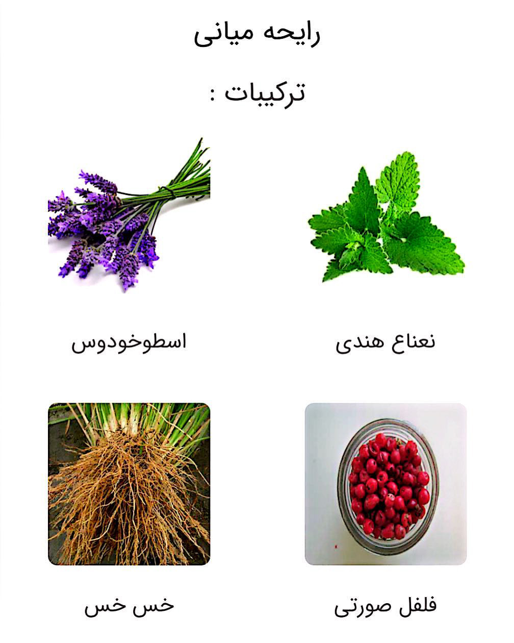 عطر ساواج دیور (Dior Sauvage)
