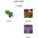 عطر لویی ویلتون لمنسیت (Limmensite)