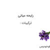 عطر ساواج الکسیر (Sauvage Elixir – Dior)