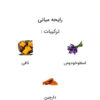 عطر استرانگر ویت یو اینتنسلی (Stronger With You Intensely)