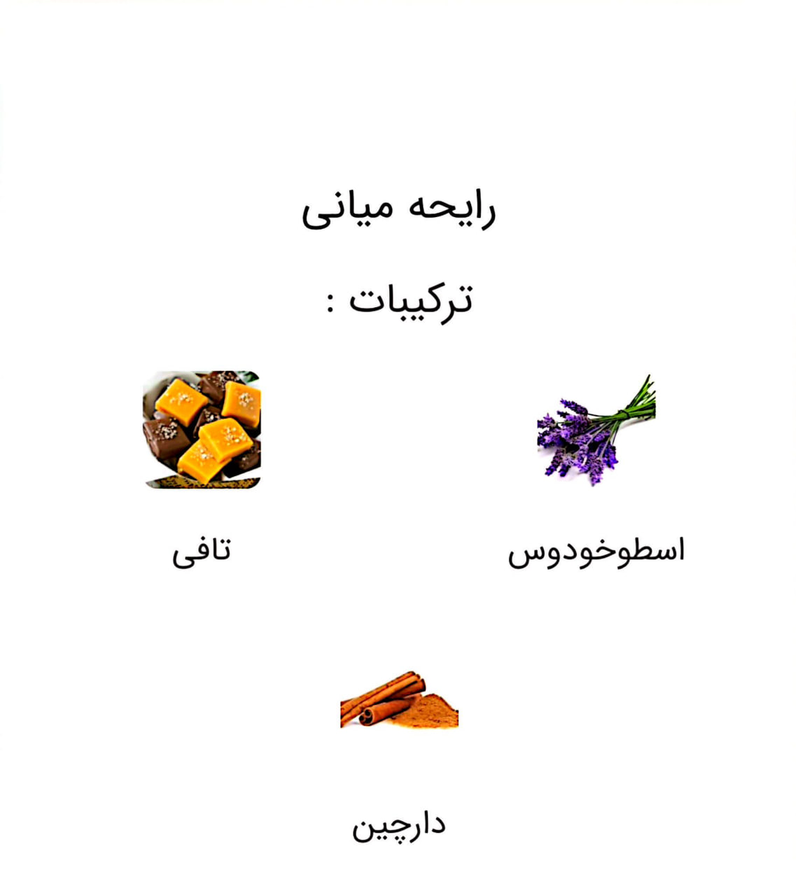 عطر استرانگر ویت یو اینتنسلی (Stronger With You Intensely)