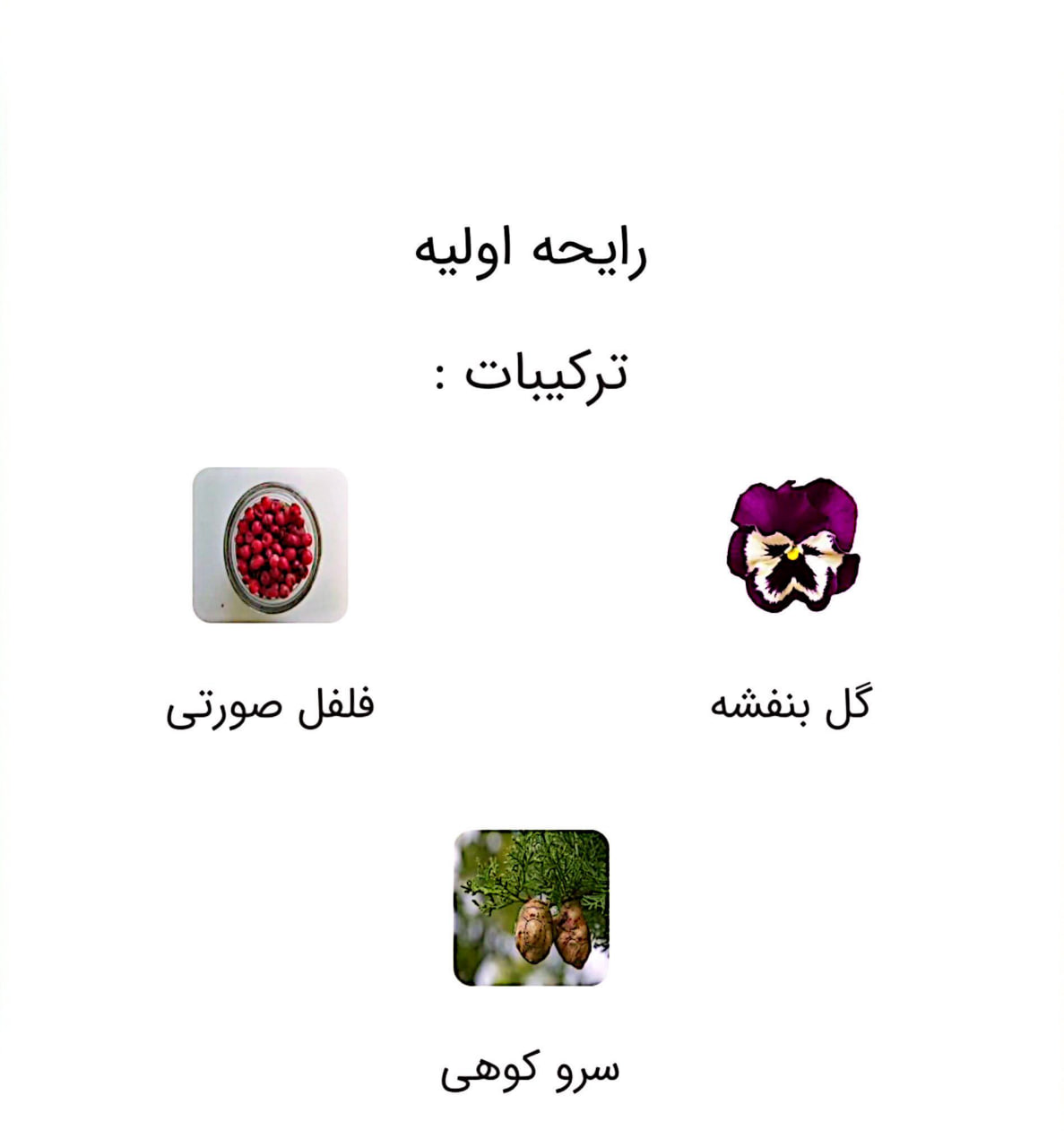 عطر استرانگر ویت یو اینتنسلی (Stronger With You Intensely)